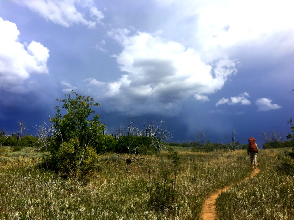 Hiking to an oak plot in NE Zion