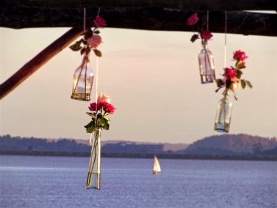 Decoração gazebo casamento2 photo