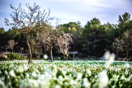 Ibiza through my eyes photo