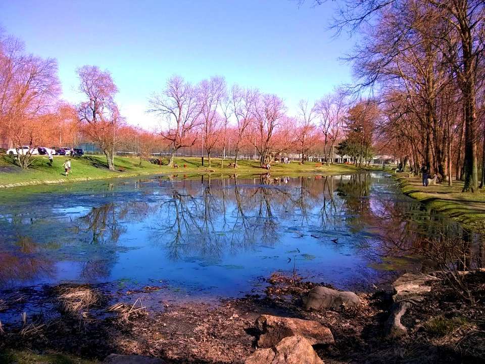 Mason's Mill Park