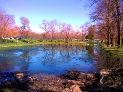 Mason's Mill Park