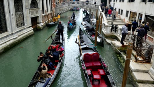 Venezia