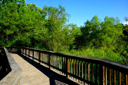 scene Suli Marsh ncwetlands KG (8)