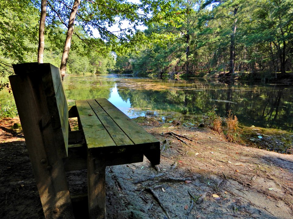 scene bench by pond Lumber River SP Chalk Banks ncwetlands KG (17)