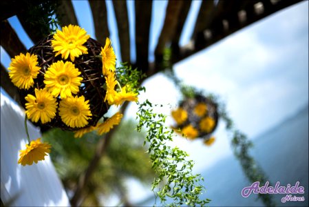 Casamento ao ar livre no Laggus (4 de 66) photo