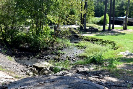 scene Little River Park ncwetlands AM (1)