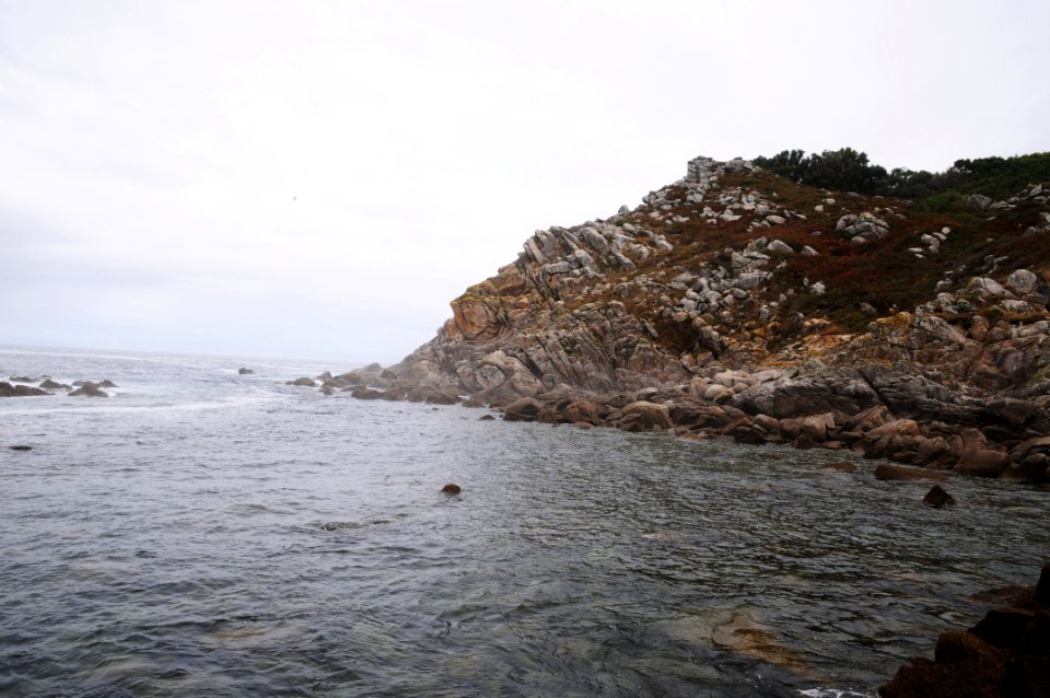 Islas Cies (Pontevedra, Galicia)