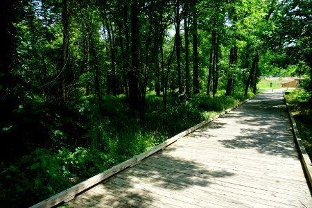 Walnut Creek Greenway ncwetlands KG (2)