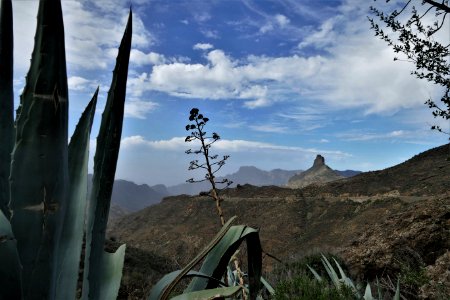 Gran Canaria
