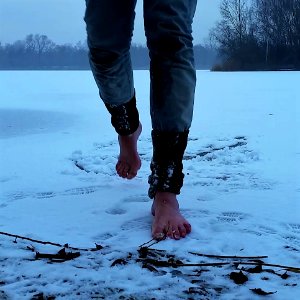 frozenlake