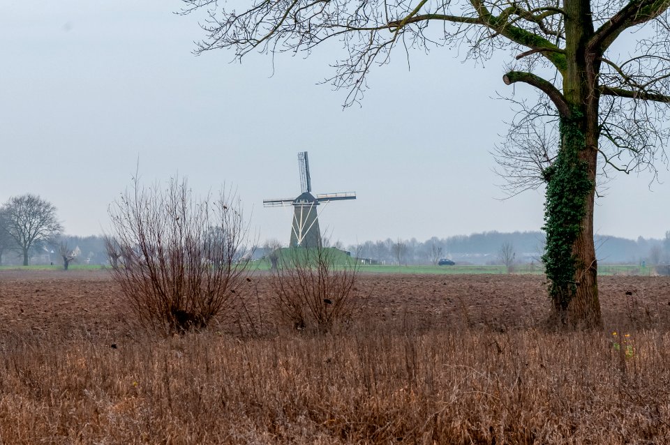 Windmill