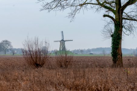 Windmill