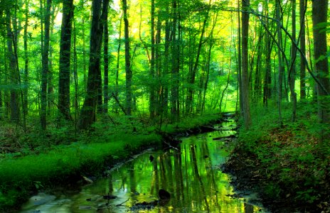 Streamlet
