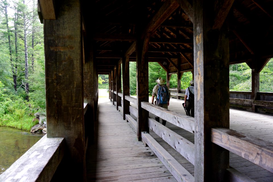 scene trail Dupont State Rec Forest ncwetlands KG (1)