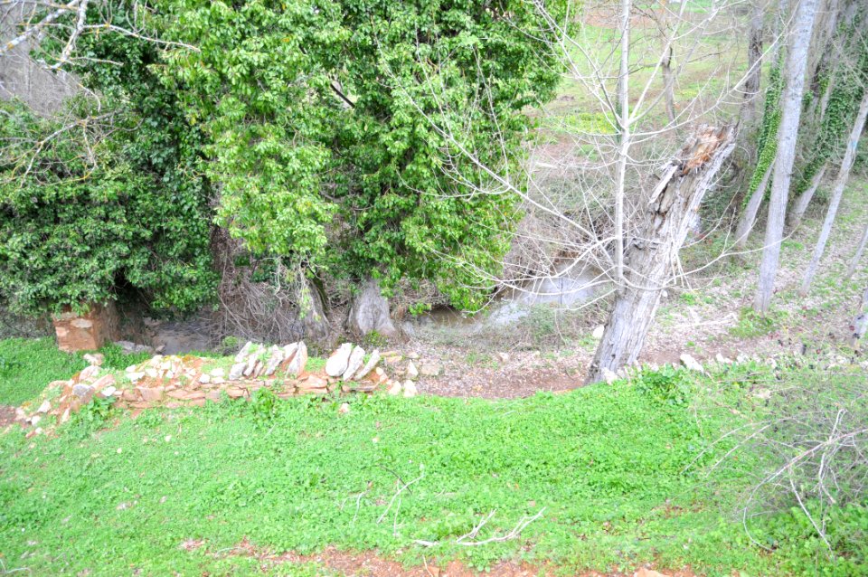 Ribera del Hueznar