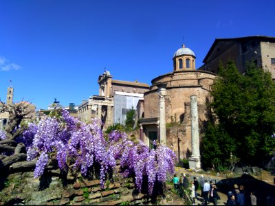 Foro Romano (Roma, Italia)