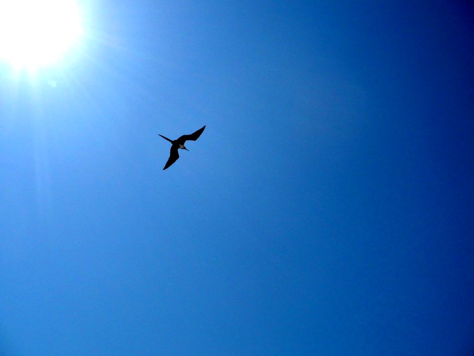Una vista al cielo paceño en su malecón