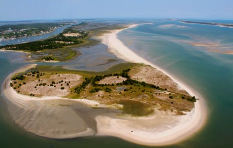 scene Rachel Carson Reserve NC Coastal Reserve