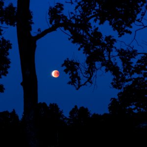 Blood moon ending over Brastad old cemetery photo