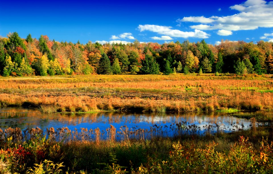 State Game Land 312 (Autumn Visit) (2)