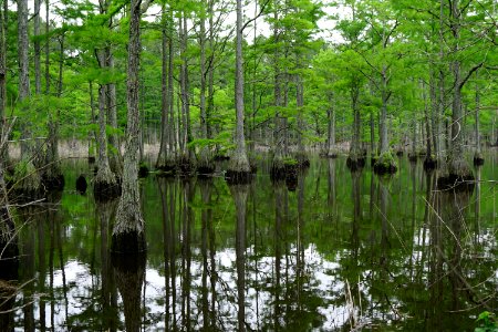 scene carvers creek SP KG (2)