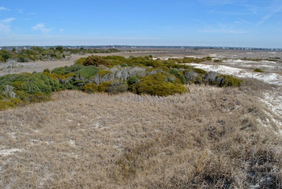 scene 2 Bird Island H Sutton NC Coastal Reserve