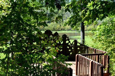 scene sandy creek park ncwetlands AM (12)