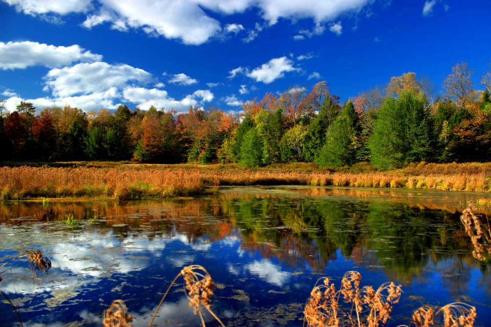 State Game Land 312 (Autumn Visit) (1)