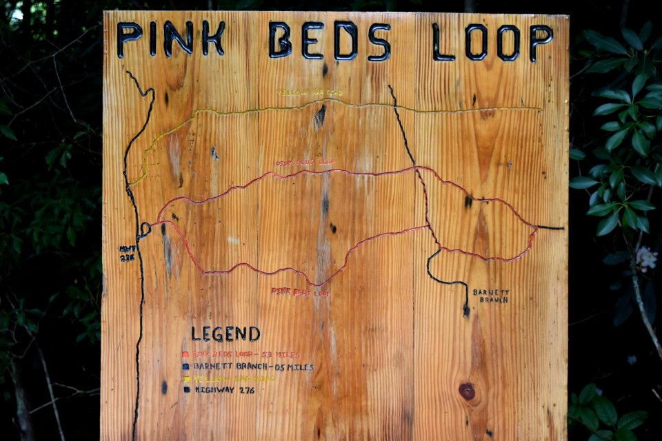 sign Pink beds at Pisgah ncwetlands AM (1)