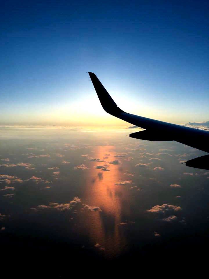 flight to tokyo