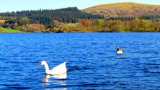 Burrator Reservoir, 20th April