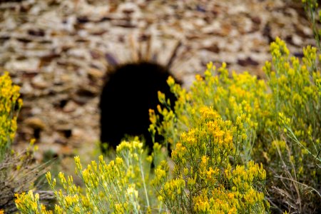 Death Valley Charcoal Kilns with Rabbit Foot