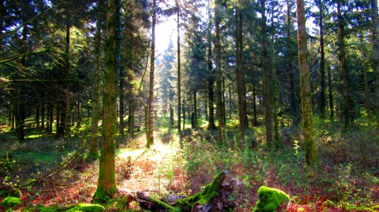 Burrator Reservoir, 20th April
