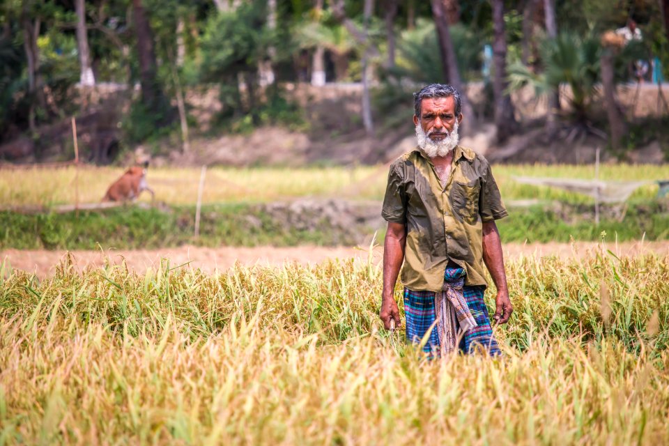 গ্রাম বাংলার কৃষক- A Village Farmer in Bangladesh