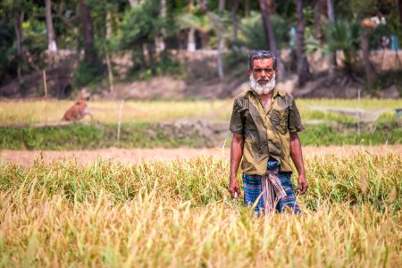 গ্রাম বাংলার কৃষক- A Village Farmer in Bangladesh photo