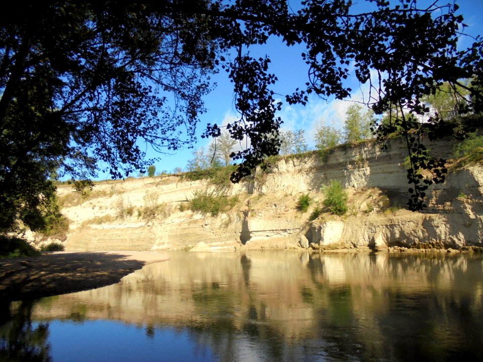 Cournon - Berges de l'Allier (17)