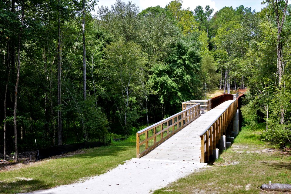 scene bridge turnipseed nature preserve ncwetlands KG (7)