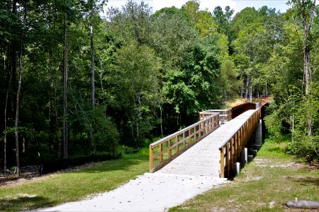 scene bridge turnipseed nature preserve ncwetlands KG (7)