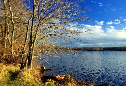 Gouldsboro Lake (2) photo