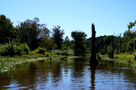 scene Buckhorn Reservoir KG (359)