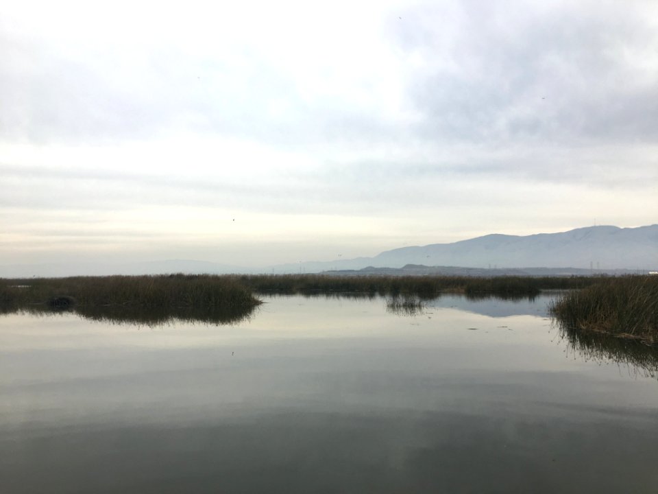 KingTide AlvisoEEC Jan2018 2