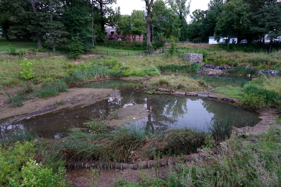 Blum Park constructed wetland ncwetlands KG (3)