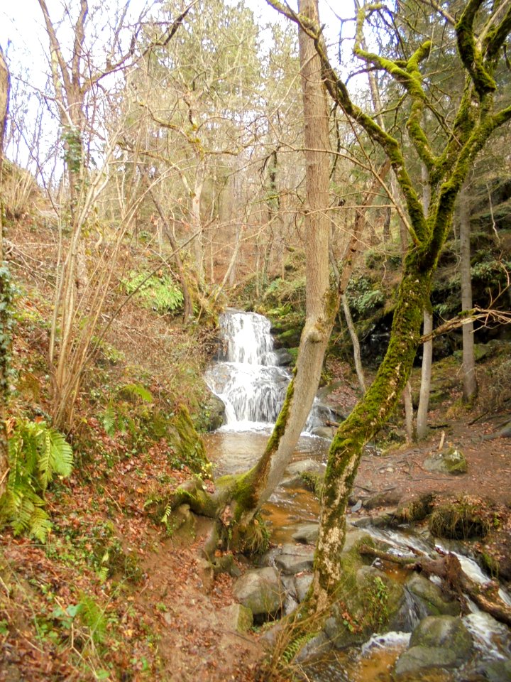 Gorges d'Enval
