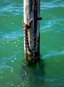 Mooring pole with chains photo