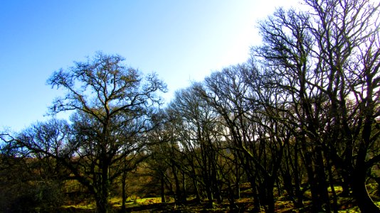 Burrator Reservoir, Dartmoor National Park