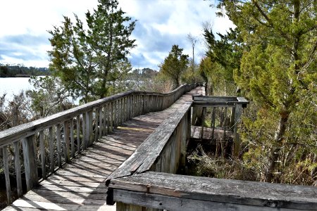 scene boardwalk Northeast Creek Park AMM (3)
