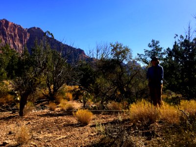 Upland transect at Zion