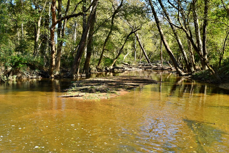 other - Morgan Creek crossing Mason Farms ncwetlands KG (1)
