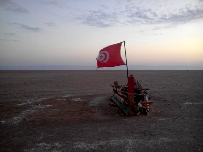 The flag at Chott el Djerid photo