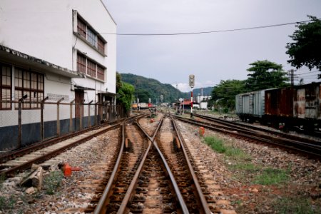 IMG 0655 W